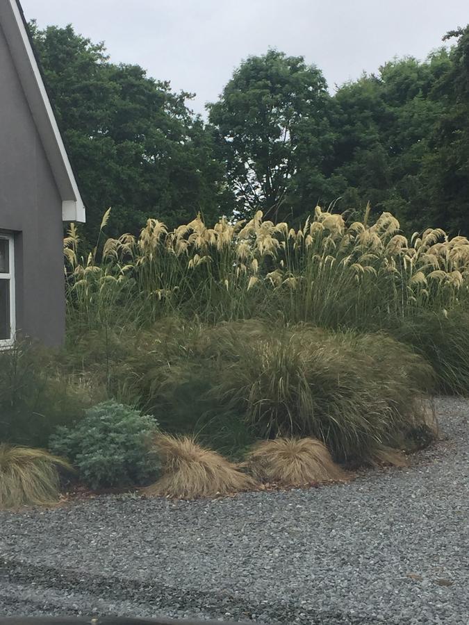 The Wendy Hoose Bed and Breakfast Nairn Buitenkant foto